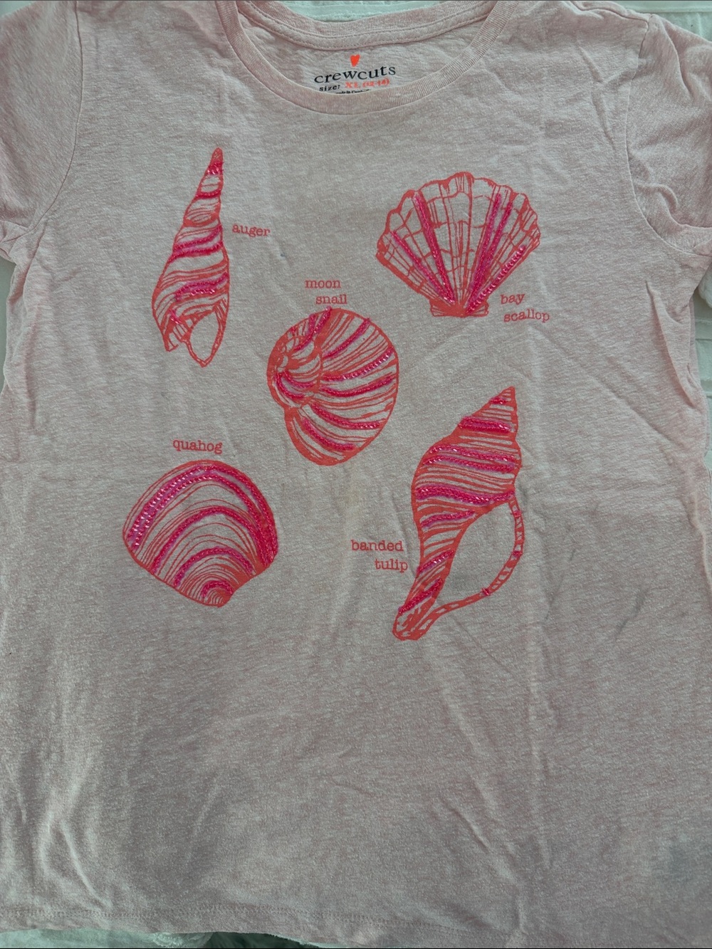 Crewcuts - Picture 2 of 3
